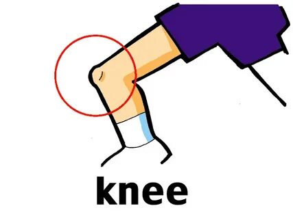 Knee clipart cartoon, Knee cartoon Transparent FREE for down