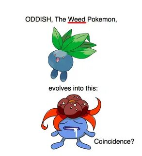 Title smokes weed everyday - Meme by MasterChick :) Memedroi