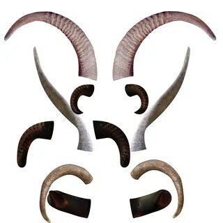 Goat horn png, Picture #661956 goat horn png