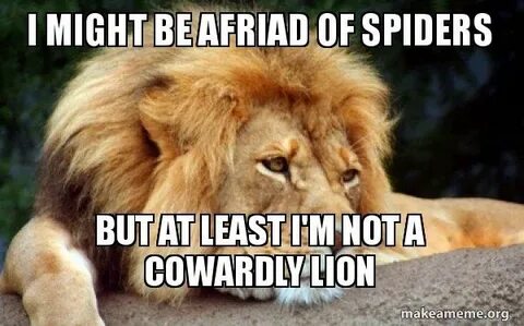 Cowardly Lion Meme - Captions Entry