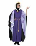 Evil Queen Costume - CostumesFC.com