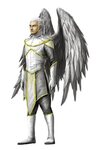 Male Aasimar Sorcerer wings - Pathfinder PFRPG DND D&D 3.5 5