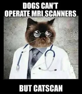 Get the Marvelous Funny Cat Scan Memes - Hilarious Pets Pict