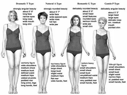 The Ultimate Guide to David Kibbe’s Body Types Theory and St