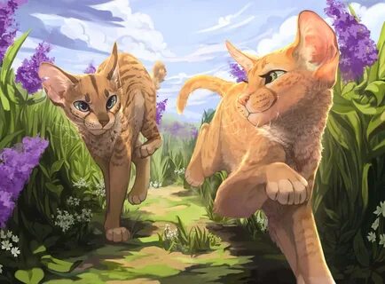 Commission by GrayPillow on DeviantArt Warrior cat drawings,