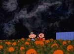 10 Most Popular The Great Pumpkin Wallpaper FULL HD 1920 × 1