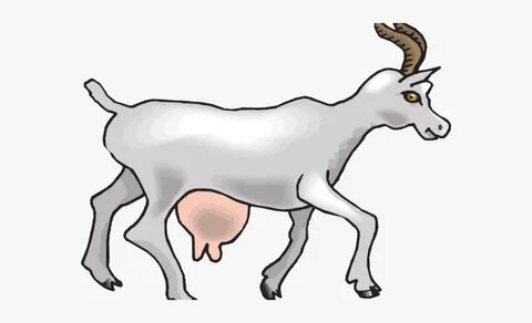 Goat clipart boer goat, Goat boer goat Transparent FREE for 