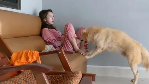 Cute teen let dog lick her pussy