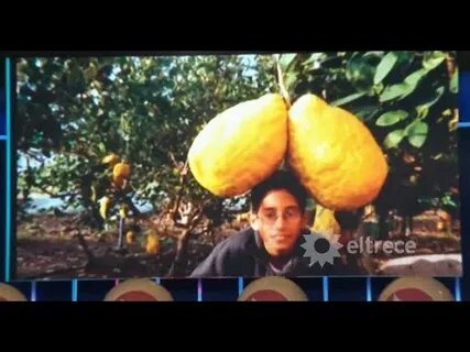 Cuánto pesó el limón más grande del mundo? - YouTube
