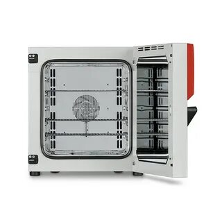 Binder FD 260 - стерилизатор горячим воздухом, 259 л. Купить