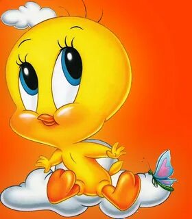 Tweety Bird Wallpaper For Android posted by Michelle Sellers