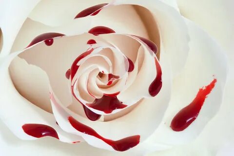 Bleeding Rose Macro IV - ColorLava