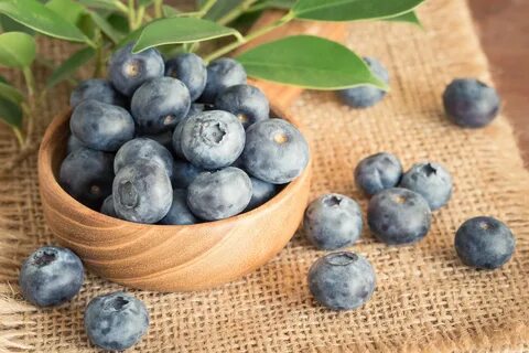 Blueberries, berries, blueberry, blueberry - 8Wallpapers
