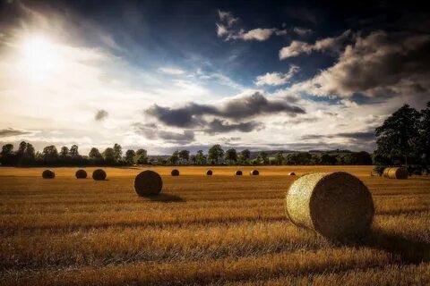 Haystack HD Wallpaper Background Image 2048x1365