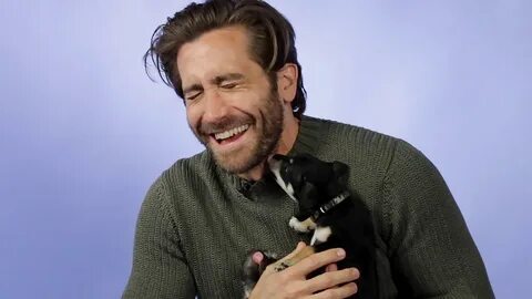 Jake Gyllenhaal responde perguntas dos fãs enquanto brinca c