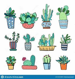 Cactus and Succulent Plants in Flowerpots. Vector Hand Drawn
