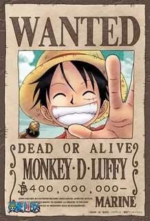 Luffy One Piece Wanted Poster Picture Monkey d luffy, Luffy,