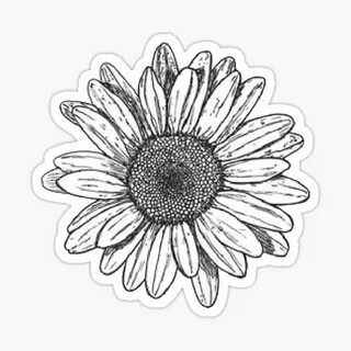 Black And White Sunflower Stickers Redbubble