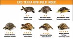 Подбор УФ лампы от Exo Terra для черепах - Черепахи.инфо