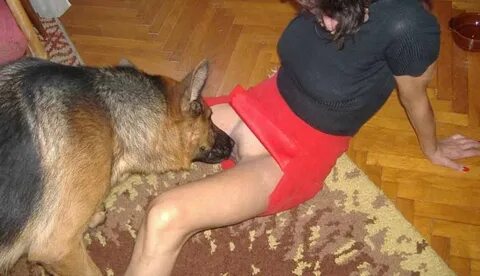 Animal Porn and Beastiality Image Board - Post 17224: beastf