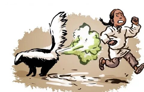 Pictures of a Skunk Spraying on Animal Picture Society