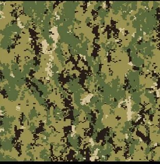Source Customized Chinese type 99 woodland camouflage patter