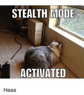 STEALTH MODE ACTIVATED Haaa Cats Meme on ME.ME