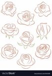 Set of roses. Download a Free Preview or High Quality Adobe 