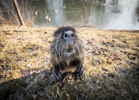 Look Again: The day's most compelling images from around the