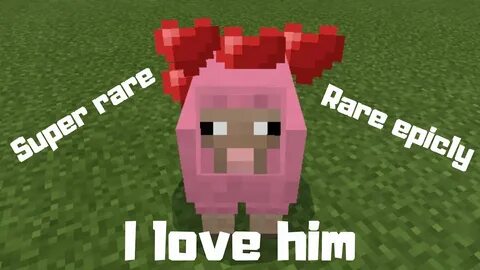 I FOUND A PINK SHEEP IN MINECRAFT! (Super rare) - minecraft 