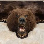 Brown Bear Rug For Sale #12343 - The Taxidermy Store