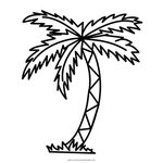 Colorear Arecaceae Drawing Tree Branch Clip Palma Palmera Di