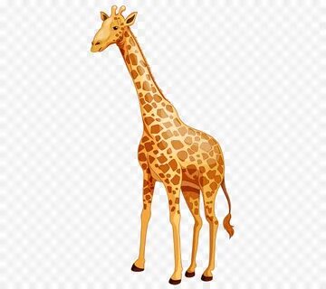 детские жирафы, мультфильм, Северный жираф
