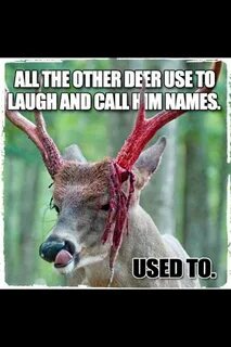 Deer Jokes