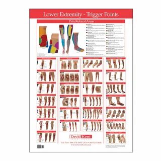 Gallery of trigger point chart 1 yelp - trigger point chart 