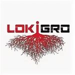 Loki (@lokigro) * Фото и видео в Instagram