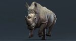 Ilya Rogov - Rhino Animated