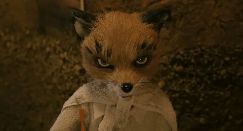 Fantastic mr. Fox (2009) - Jason Schwartzman as Ash - IMDb