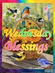 Bird Wednesday Blessing Gif Pictures, Photos, and Images for