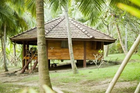 Отель Palm Paradise Cabanas (Пляж Годеллавела, Шри-Ланка), ц