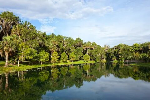 Gemini Springs Park - Wikipedia