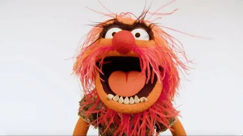 Muppet Stuff: Muppet Thought of the Week - Animal Shares Som