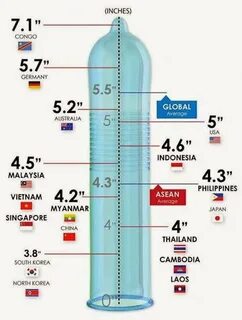 What is the average size of a penis in asia? - Quora