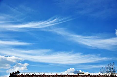 Free photo: Clear Sky - Clear, Cloud, Shape - Free Download 