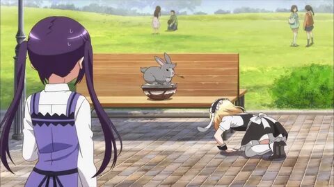 Gochuumon Usagi Exceedingly Moe Bunny Anime - Sankaku Comple