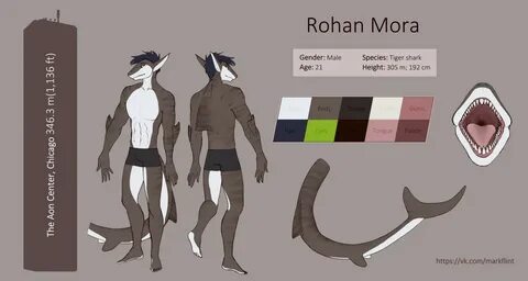 Rohan Reference Sheet by Xen_wirder -- Fur Affinity dot net