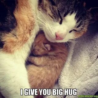 Hug Memes - Best Funny Hug Pictures