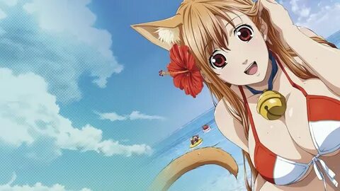 Watch Cat Planet Cuties - Season 1 HD free TV Show Stream Fr