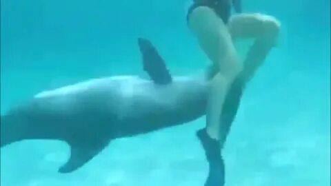 People Fucking Dolphins :: lovetomoon.com