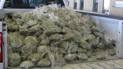 Officials foil sneaky plot to smuggle pot into U.S. at Texas